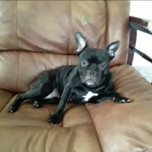 Meet your Posher, Cendy